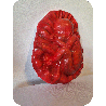 Fruto de la vida bajo relieve escultura