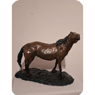 Caballo salvage, con la frente al viento