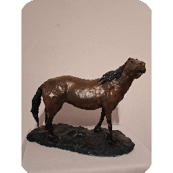 Caballo salvage, con la frente al viento