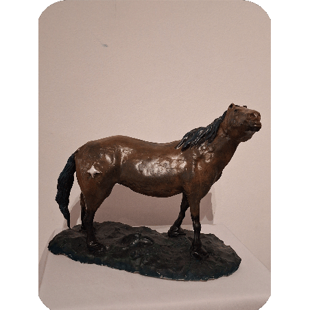 Caballo salvage, con la frente al viento