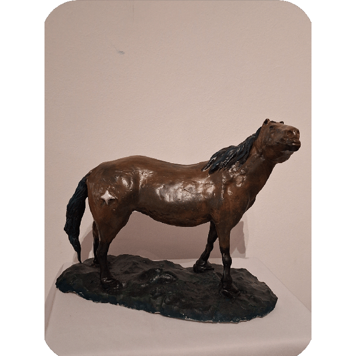 Caballo salvage, con la frente al viento