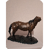 Caballo salvage, con la frente al viento