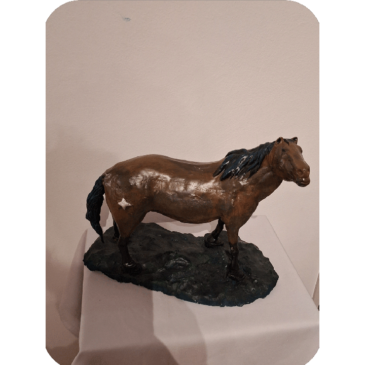 Caballo salvage, con la frente al viento